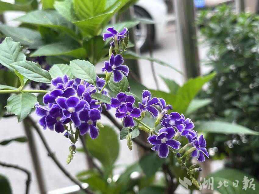 澳门bbin大全